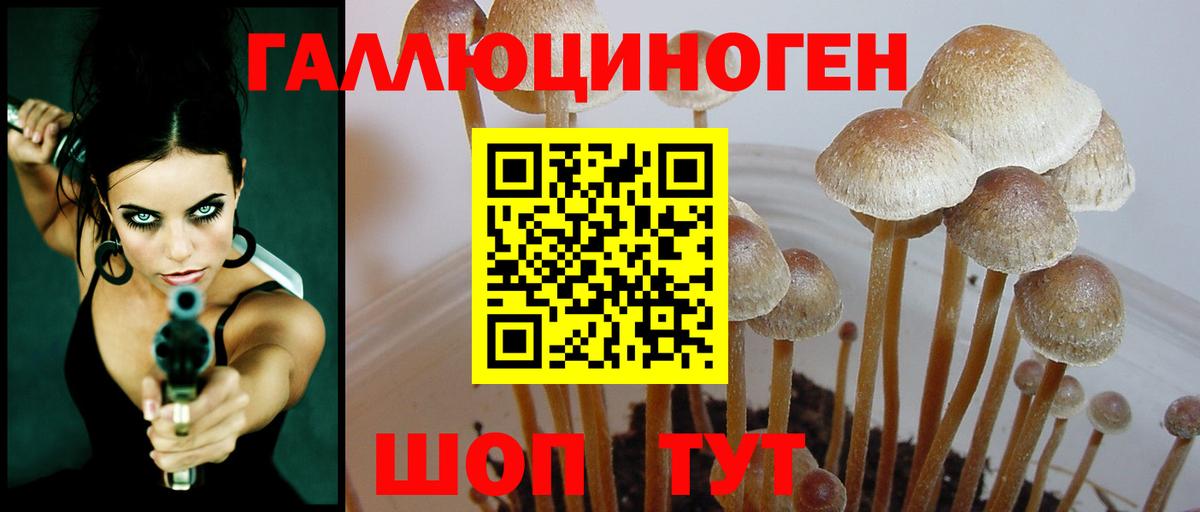 Галлюциногенные грибы прущие грибы Узловая