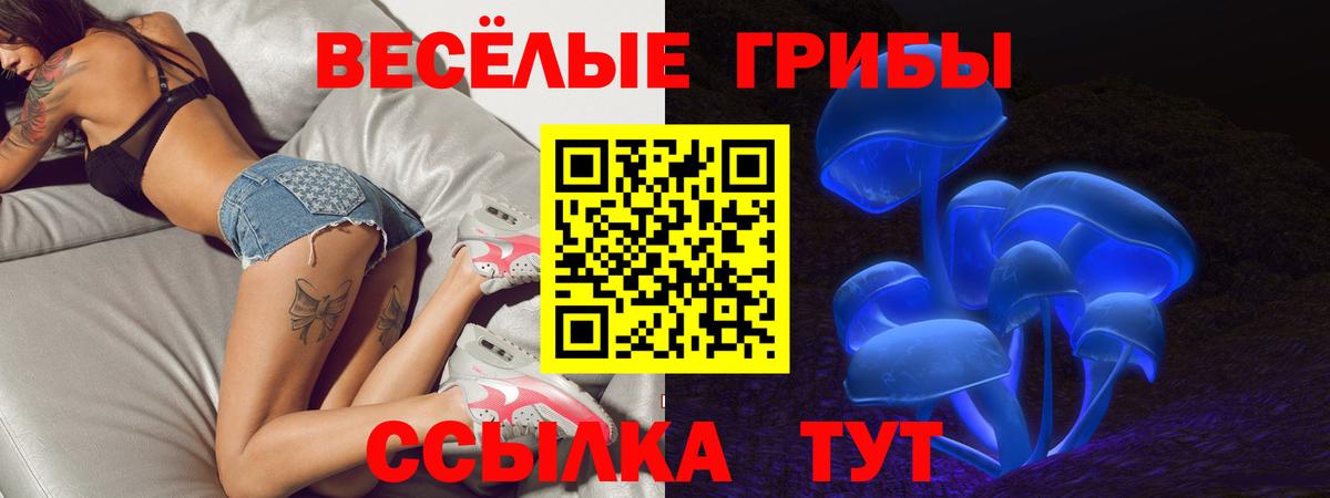 купить наркоту  Псилоцибиновые грибы MAGIC MUSHROOMS  Вход с VPN  Узловая 